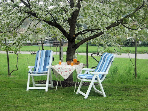 What is more pleasing than a break under the shadow of a flowering tree?